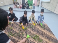 3월 4주 별난미술 수업 활동사진 