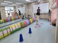 8월 3주 유아체육 수업 활동사진 