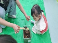 4월 4주 별난미술 수업 사진 
