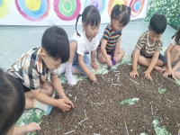 7월2주 별난미술 수업 활동사진 